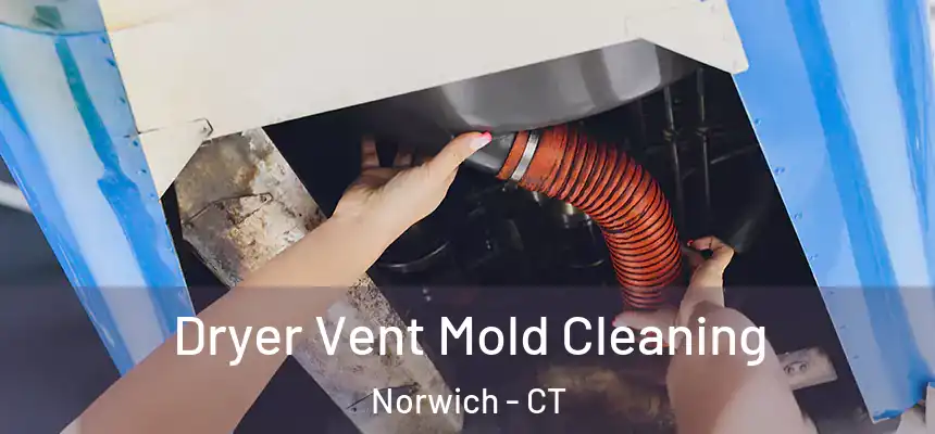  Dryer Vent Mold Cleaning Norwich - CT