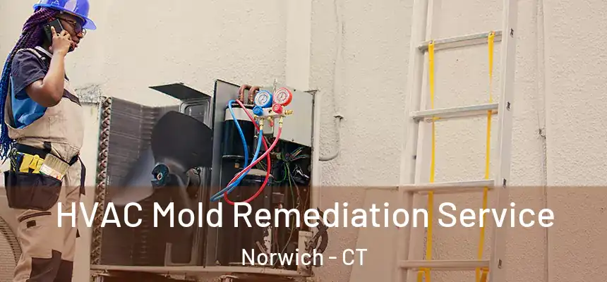  HVAC Mold Remediation Service Norwich - CT