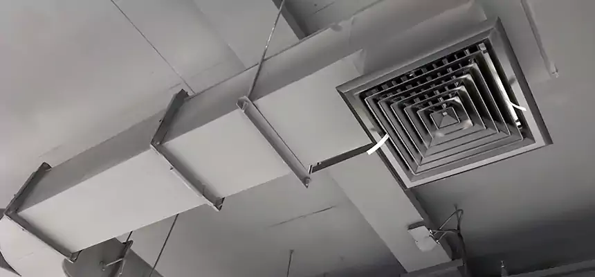 Restorative Allergy Relief Vent Cleaning – Coil, Blower & Housing Detail in Norwich