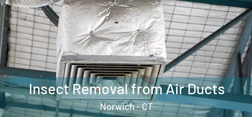  Insect Removal from Air Ducts Norwich - CT