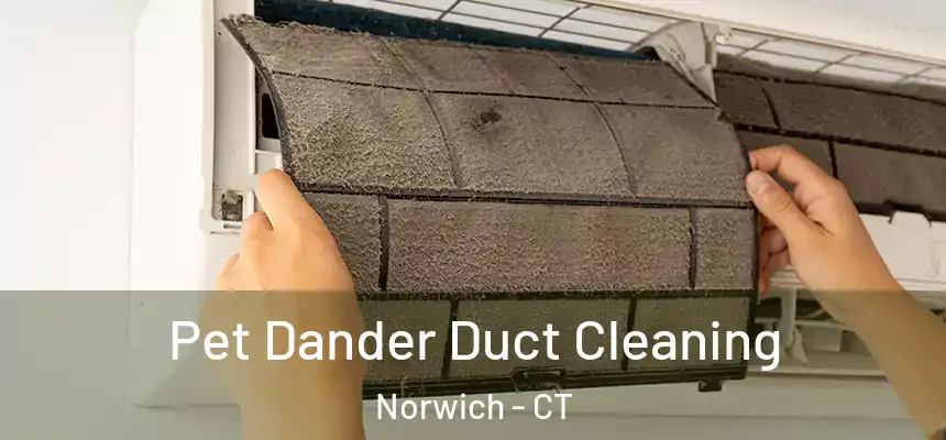  Pet Dander Duct Cleaning Norwich - CT