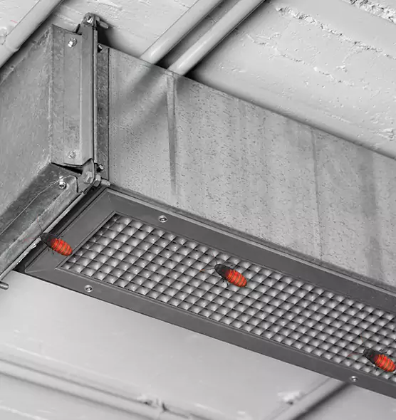 About Air Duct Cockroach Removal in Norwich, CT