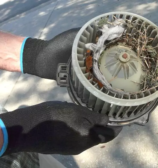 About Air Duct Mice Removal in Norwich, CT