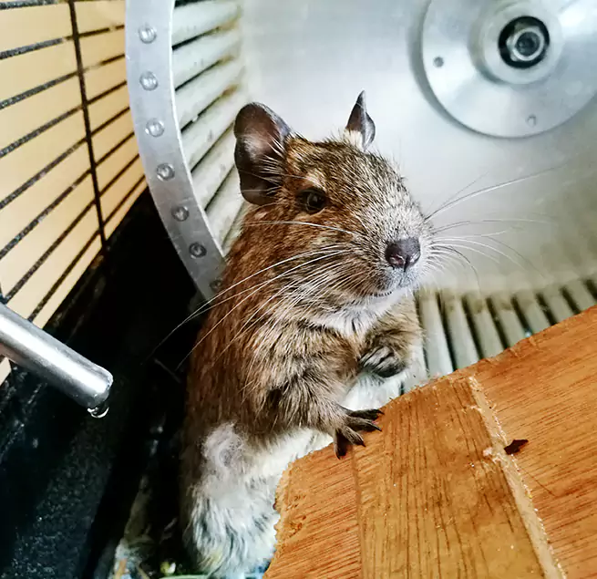 Why Homeowners & Businesses Trust Us Norwich, CT?